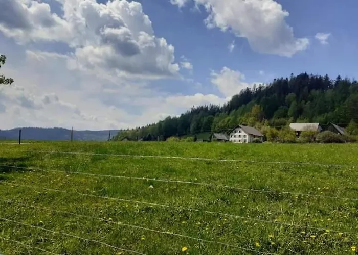 Spokojny Klimat W Wisle