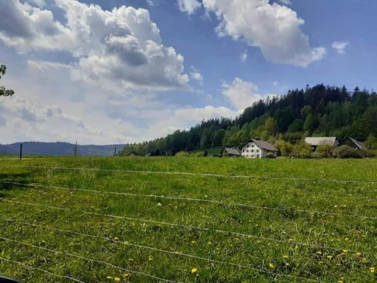 Apartment Spokojny Klimat W Wisle *